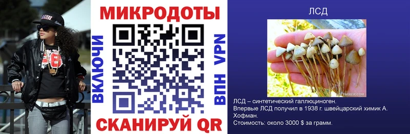 Псилоцибиновые грибы мицелий  Чулым 